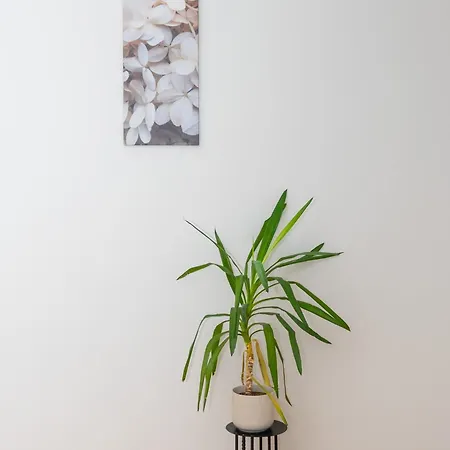 Apartment Cosy Homey Nook